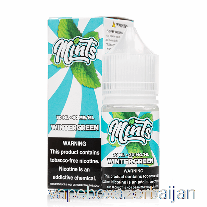 Vape Smoke Wintergreen Salts - Mints Vape Co - 30mL 30mg